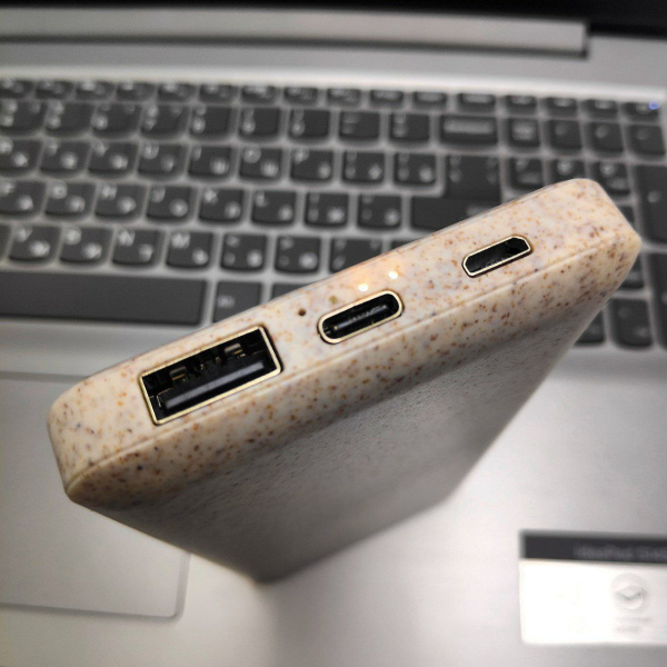 Портативное зарядное устройство Power Bank 10000 mAh / Micro, Type C, USB-выход